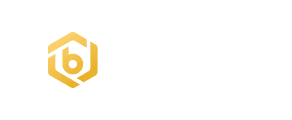   Bitrue Icon