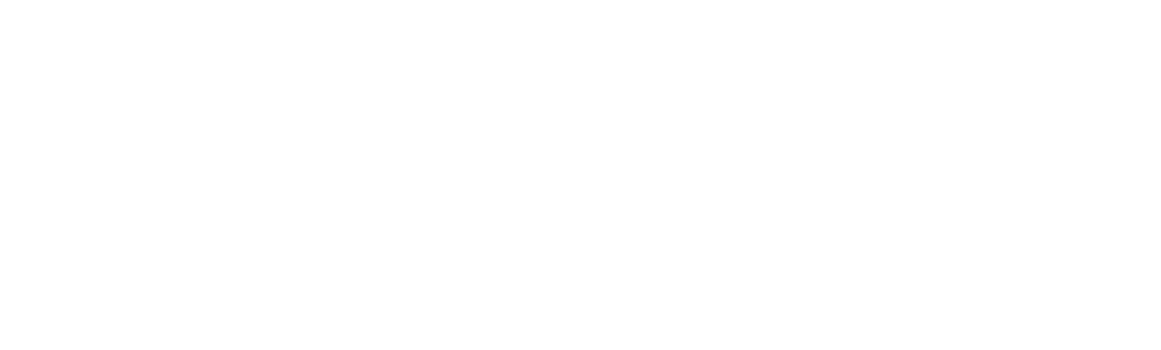 Coinstore Icon