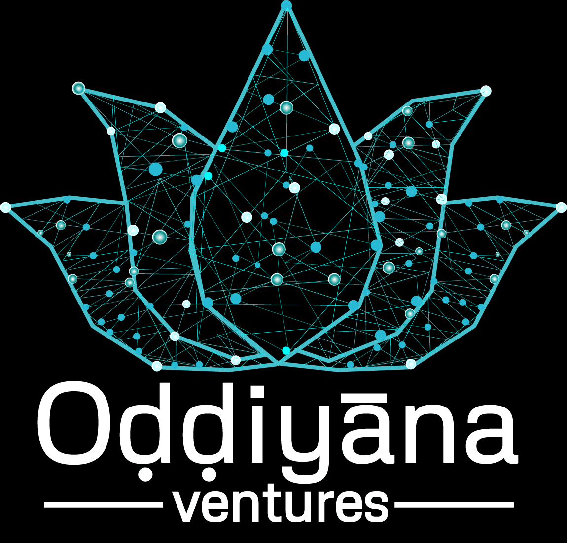 oddinaya icon